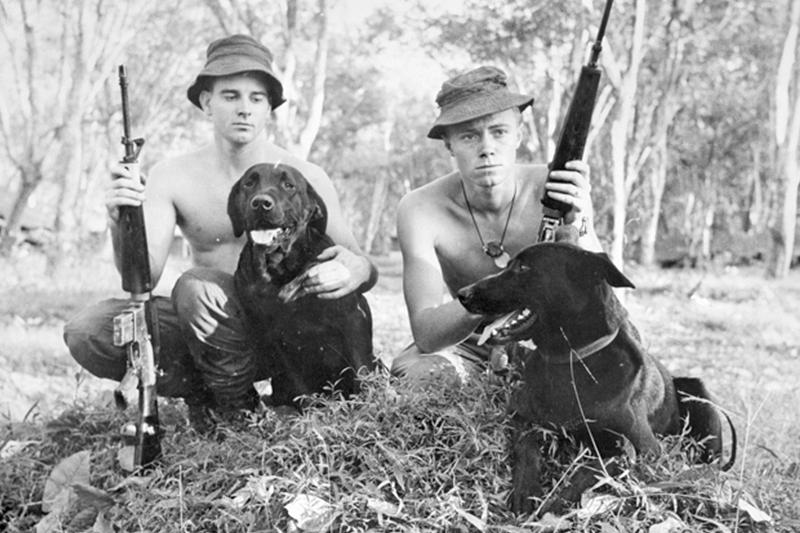 Private Denis Ferguson with tracker dog Marcus (left) and Private Peter Haran with tracker dog Caesar (right) in Phuoc Tuy Province, Vietnam, circa 1967 to 1968.