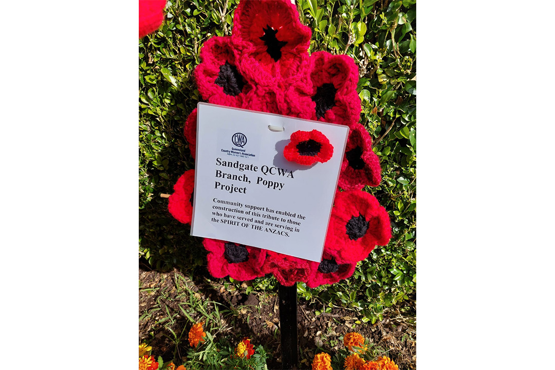 Signage on the poppy display on ANZAC Day 2025. 